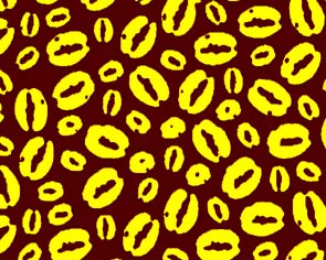 R.016 Caf� Amarillo